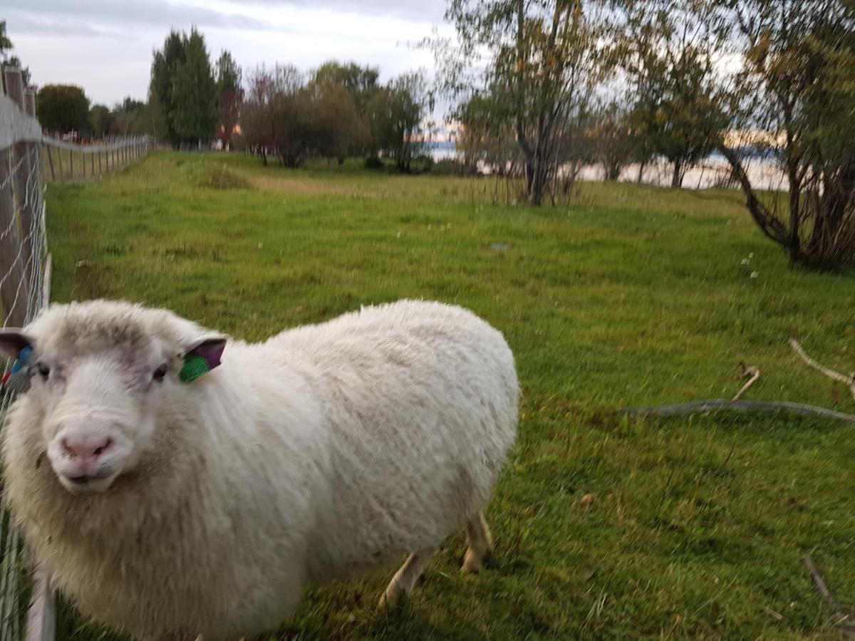 Kapteinsboligen i Evjua Skreia Exterior foto